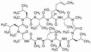 環孢菌素A