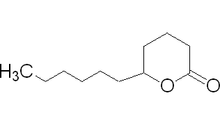 丁位十一內酯